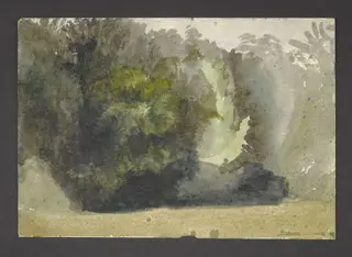 Study of a forest glade, by Beatrix Potter, watercolor, 1902