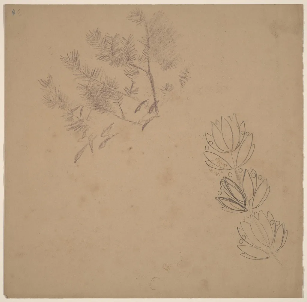 Study for a Border Design with a Sketch of a Tree, by Charles Sprague Pearce, graphite, 1894