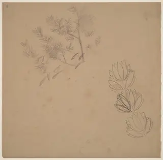 Study for a Border Design with a Sketch of a Tree, by Charles Sprague Pearce, graphite, 1894