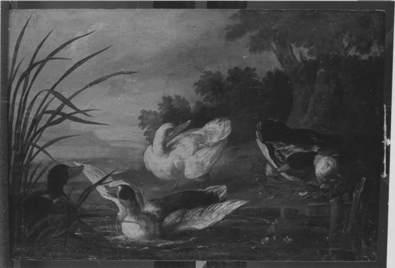 Enten am Gewässer, detail