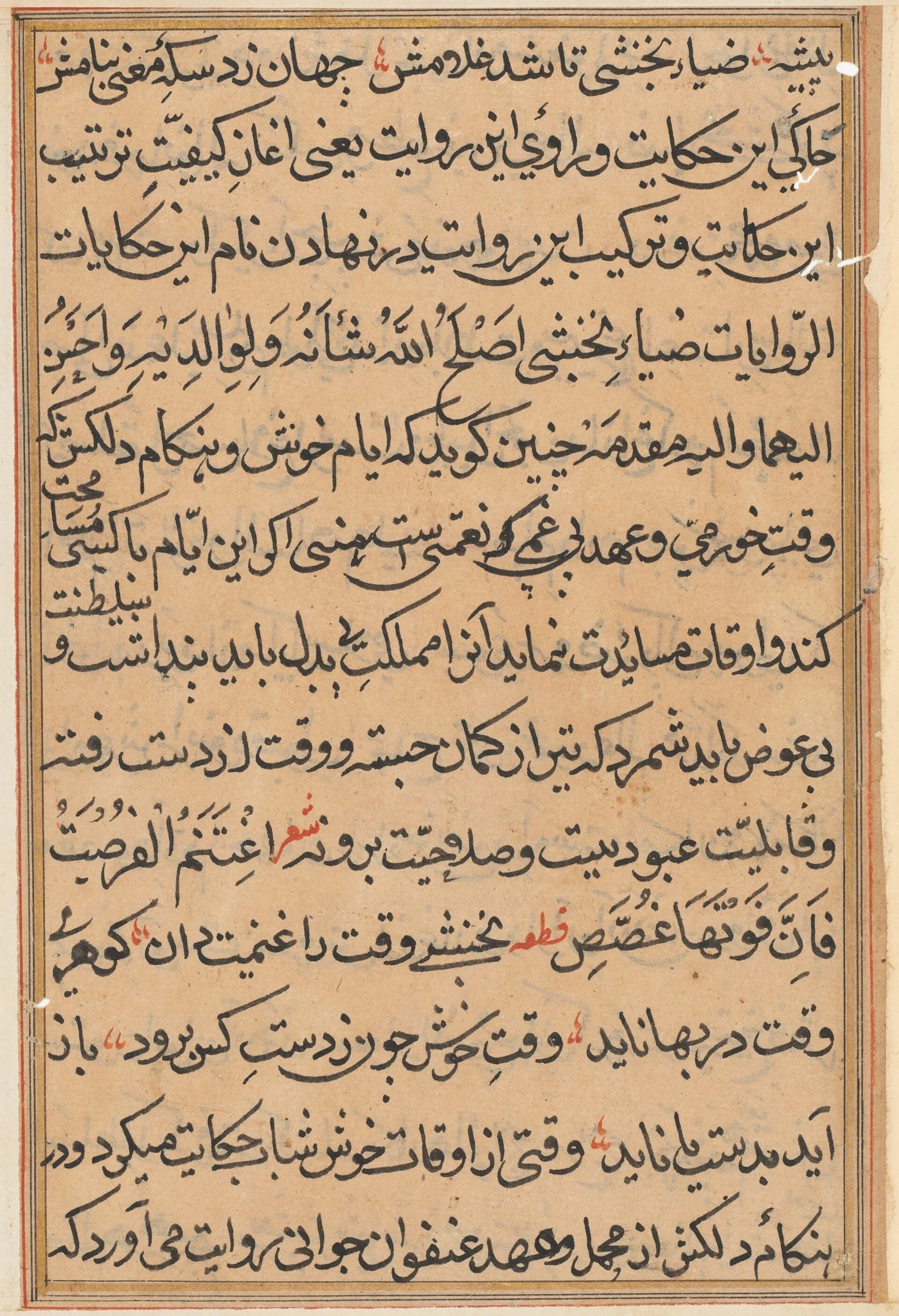 Page from Tales of a Parrot (Tuti-nama): text page, detail