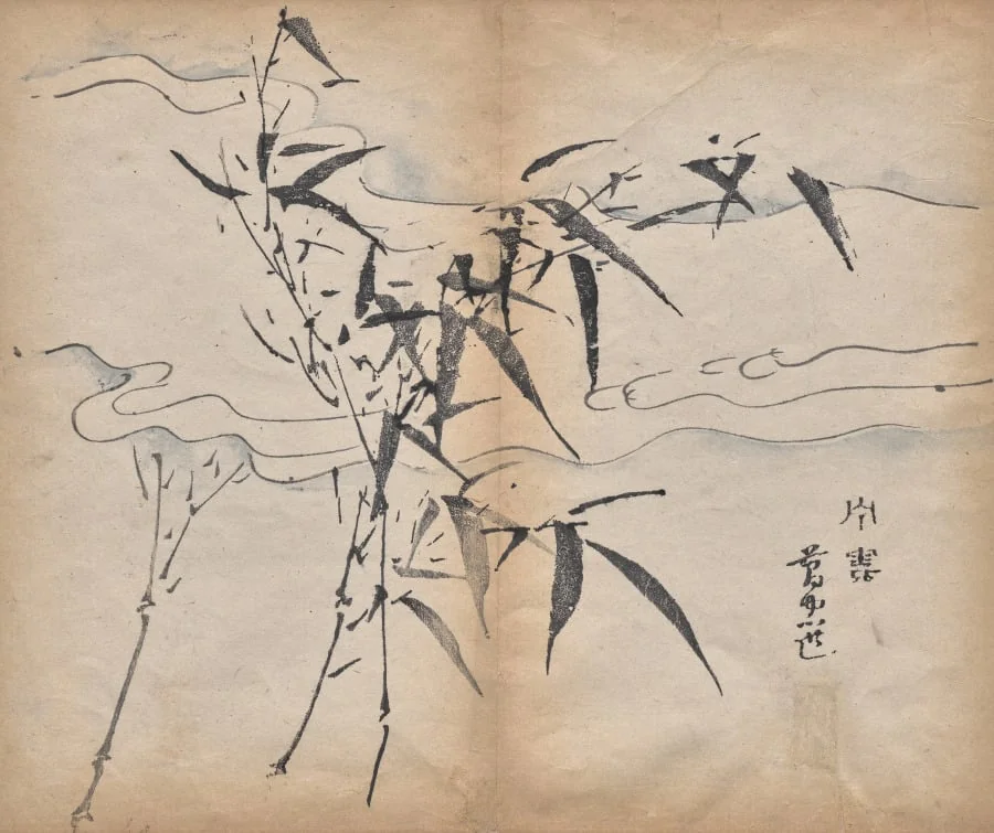 Bamboo, detail