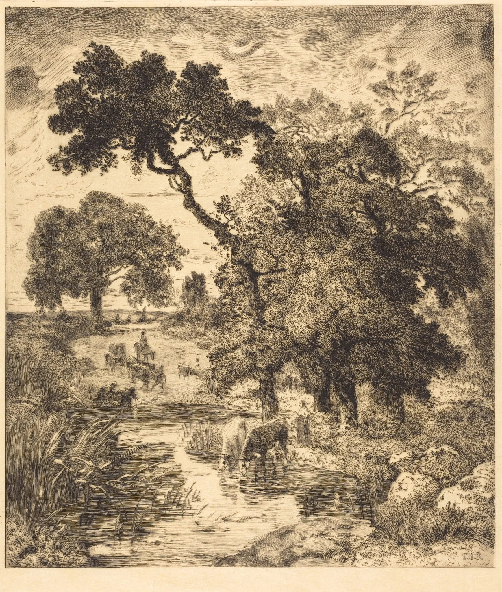 Evening, detail