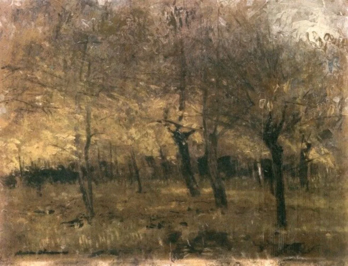 Pădure toamna, detail