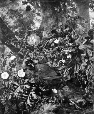 A Brooding Pheasant