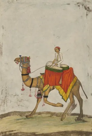 A camel with its rider playing kettle drums