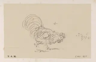 A cockerel
