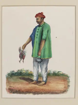 A Cook