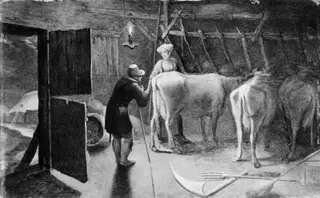 A Cowshed