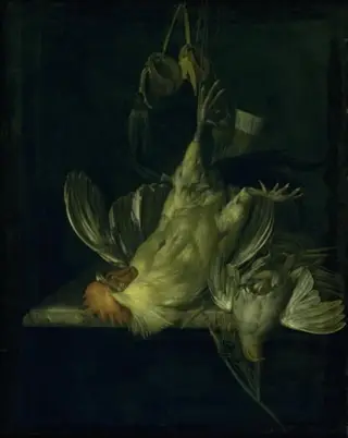 A Dead White Cock