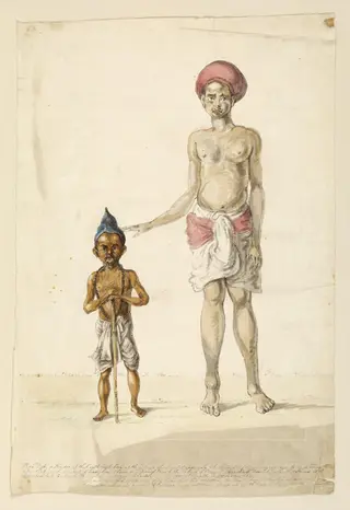 A dwarf