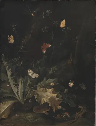 A Forest Floor with a Thistle, a Snake, a Lizard and Butterflies