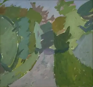 A Forest Road