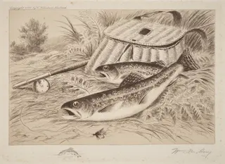 A Good Catch