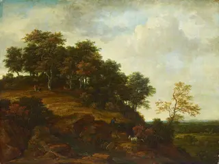 A hill with an oak wood and a little waterfall