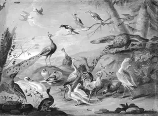 A Hilly Landscape with a Peacock, an Eagle and other Birds