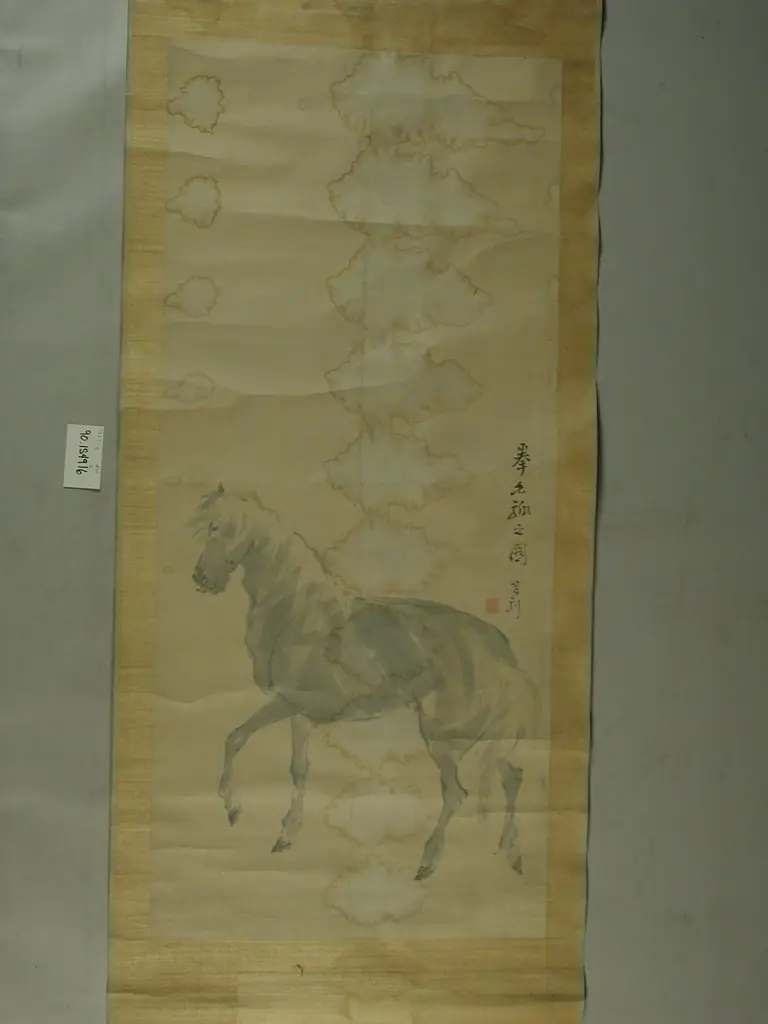 A Horse