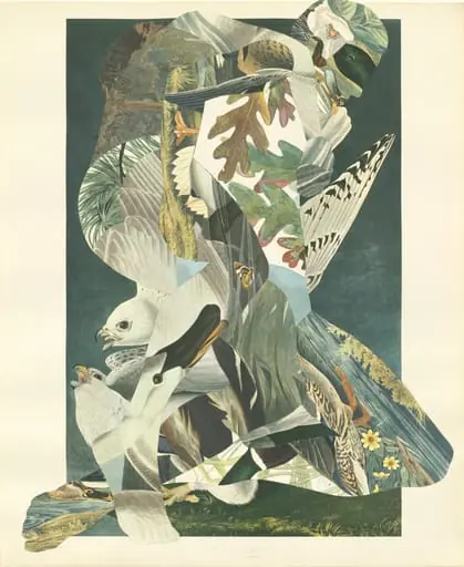 Untitled, by A.K. Burns
