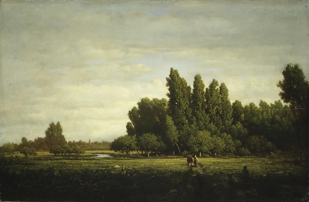A Meadow Bordered by Trees