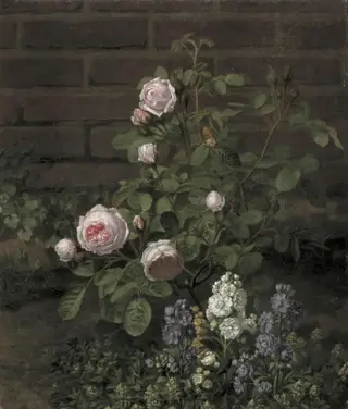 A Moss Rose Tree Sourrounded by Summer Flowers
