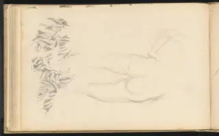 A Nude and Foliage