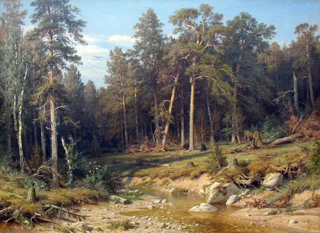 A Pine Forest. Mast-Timber forest in Viatka Province