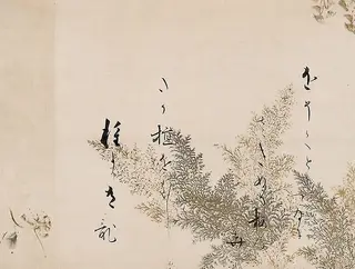 A Poem from the Shin Kokinshu with Design of Shinobugusa Grasses