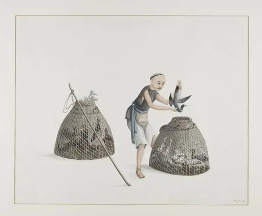 A Poultry Seller