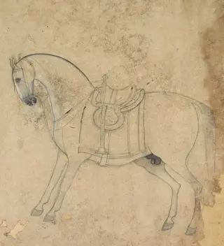 A saddled horse