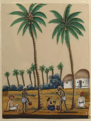 A toddy-tapper, 1860