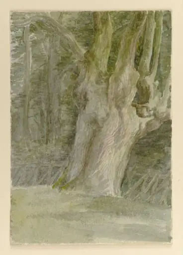 A tree trunk in a field at the edge of a wood
