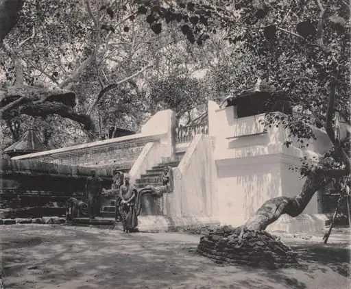 Monks Outside Temple, Ceylon, by A. W. A. Plâté Studio