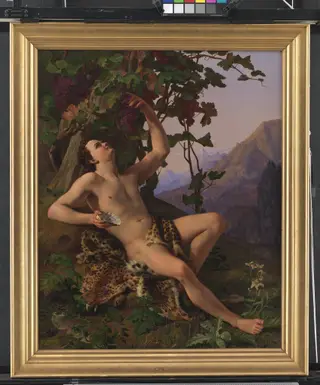 A young faun picking grapes