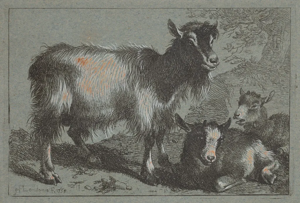 Goat and Two Kids, by Francesco Londonio, ink, 1758