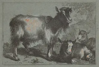Goat and Two Kids, by Francesco Londonio, ink, 1758