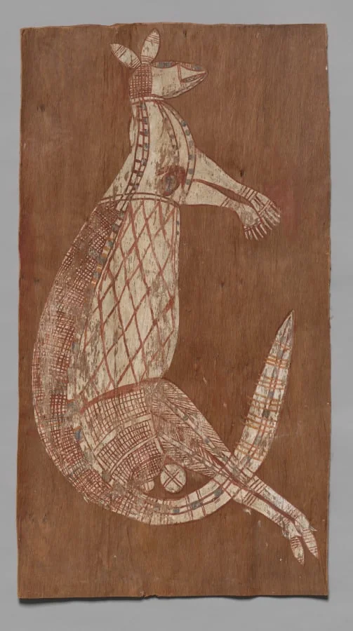Kangaroo, detail