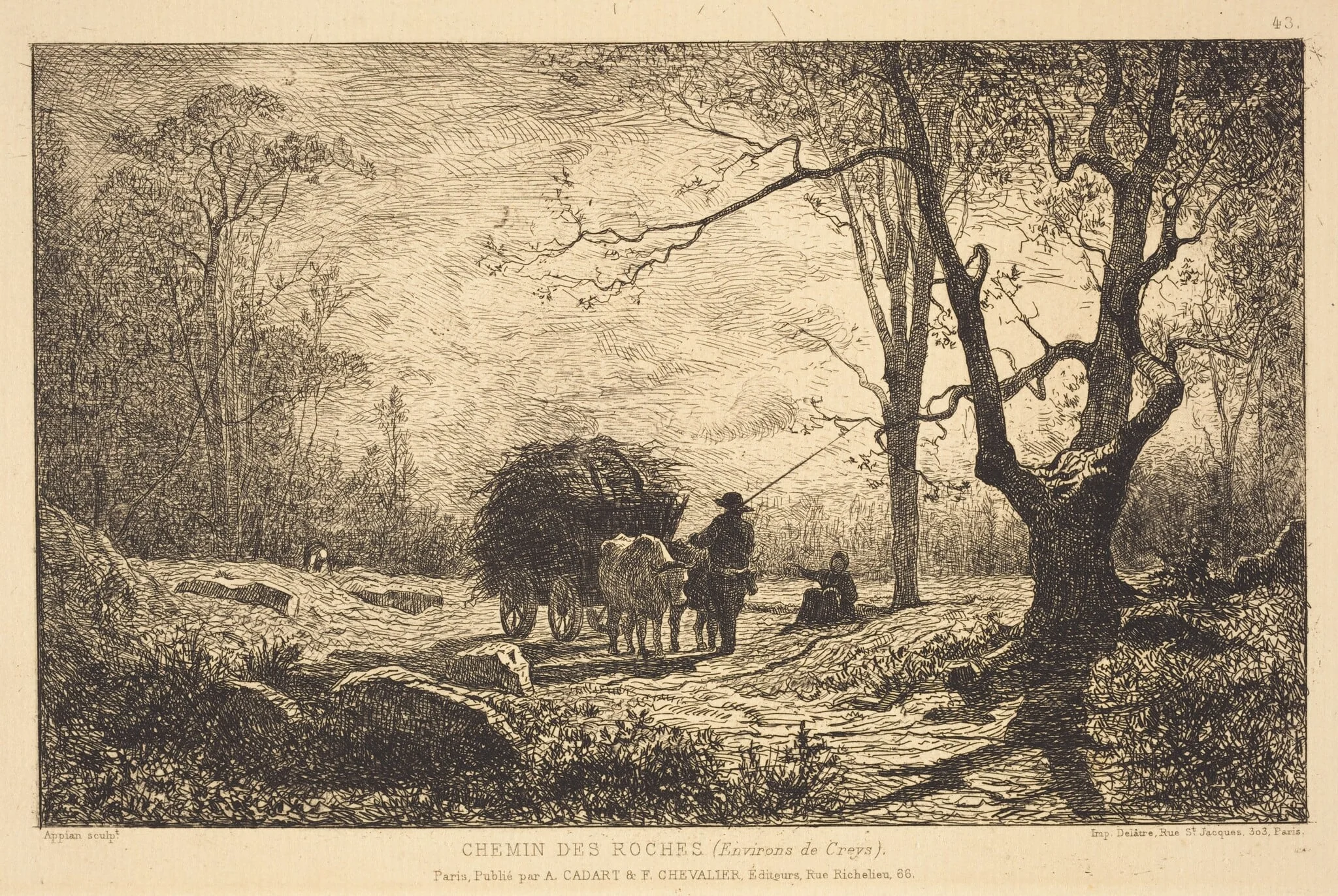 Chemin des Roches, detail