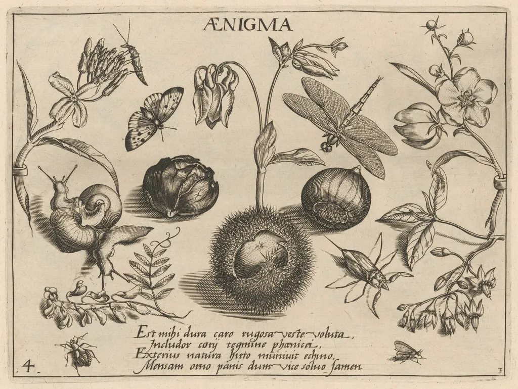 Archetypa studiaque patris Georgii Hoefnagelii [Part 3, Plate 4], by Jacob Hoefnagel, ink, 1592