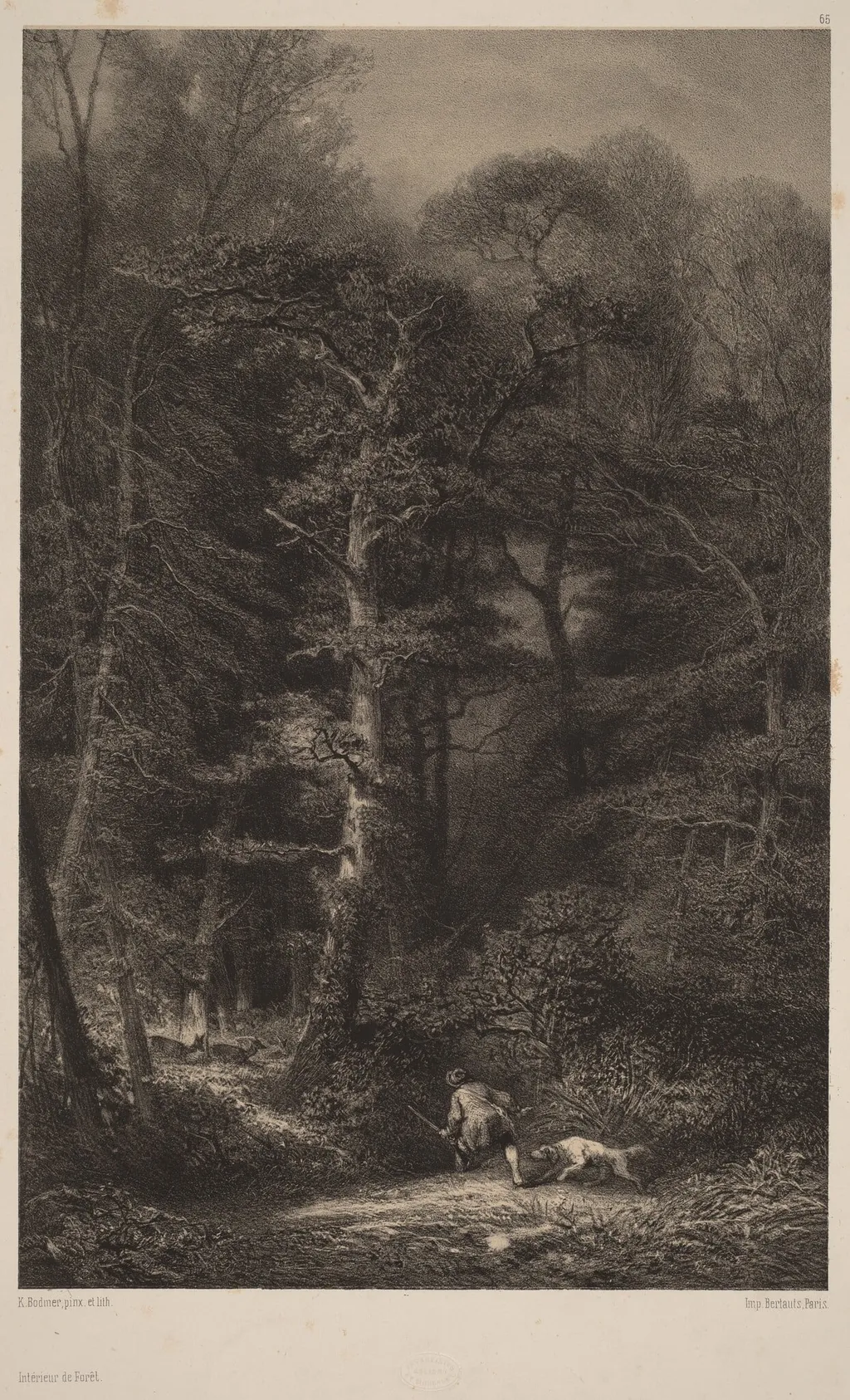 Intérieur de Forêt, by Karl Bodmer, ink, 1851
