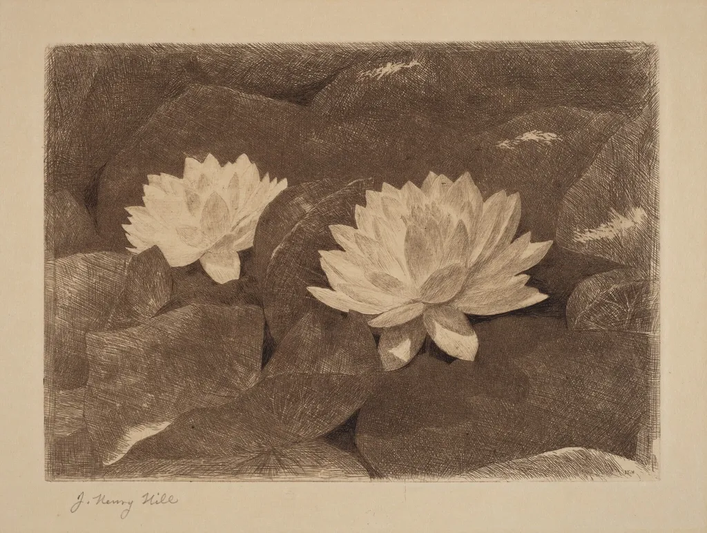 Waterlilies, by John Henry Hill, ink, 1870