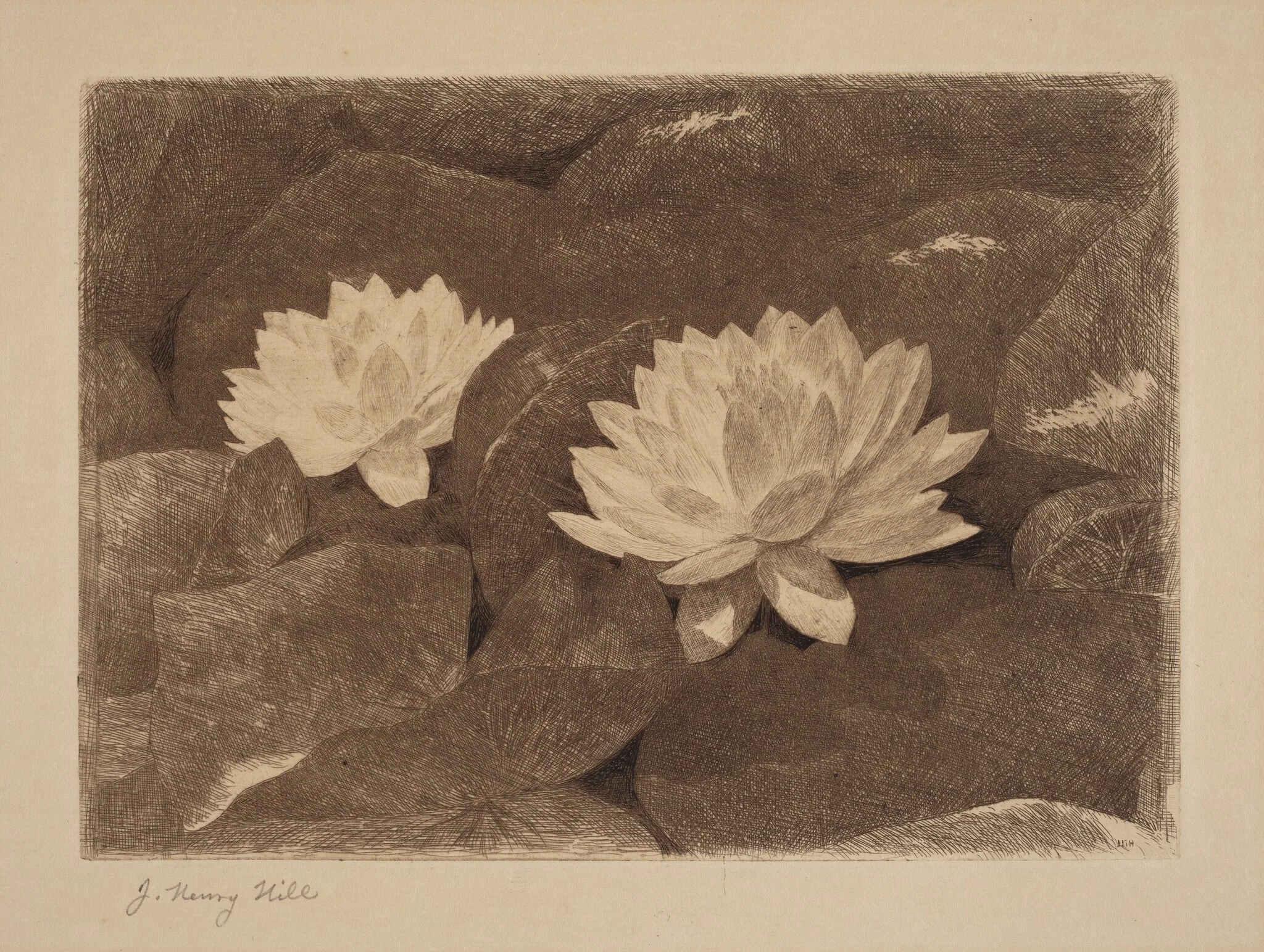 Waterlilies, detail