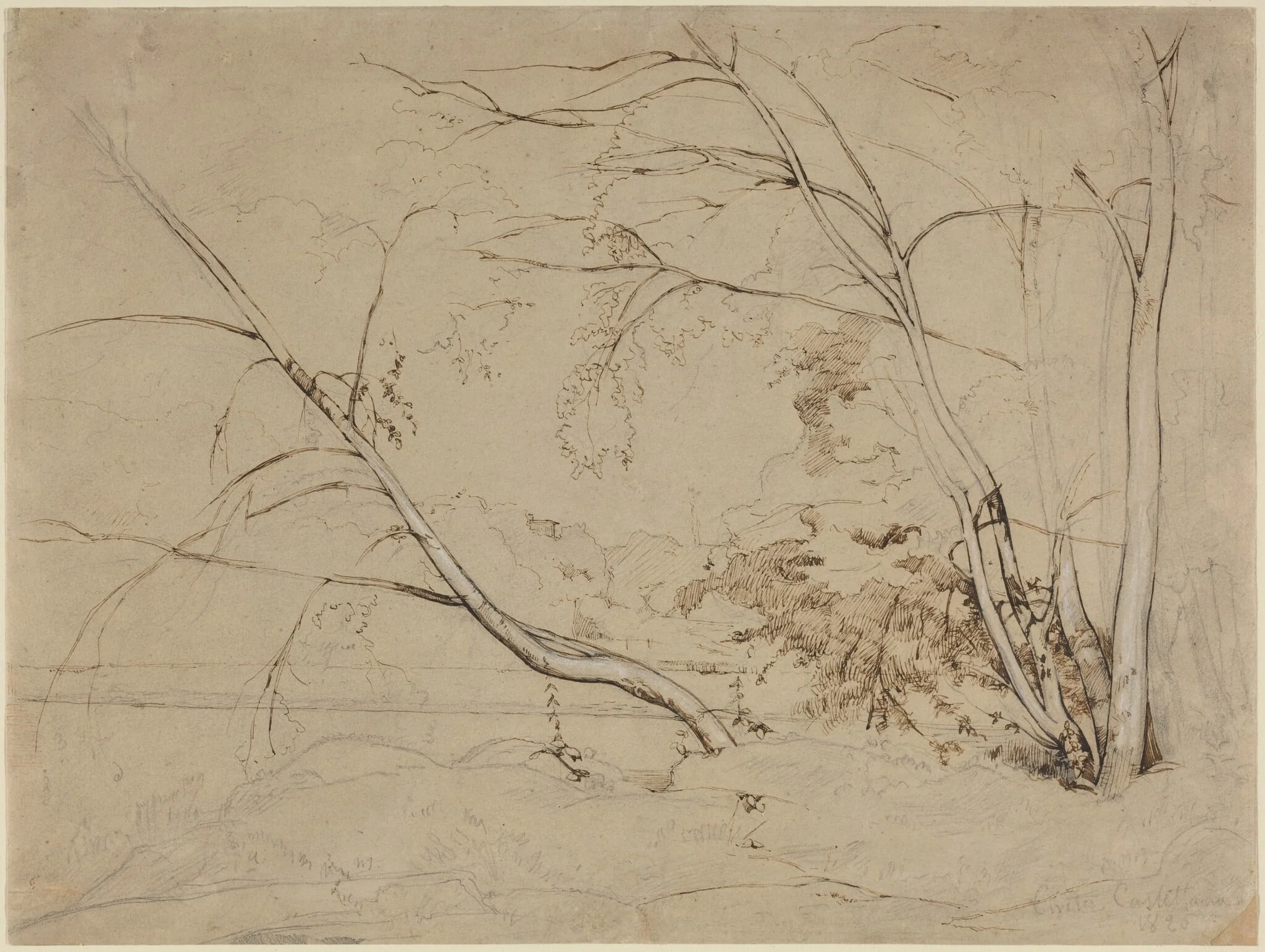Clump of Trees at Civita Castellana, detail