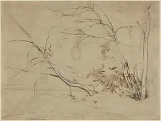 Clump of Trees at Civita Castellana, by Jean Baptiste Camille Corot, ink, 1826