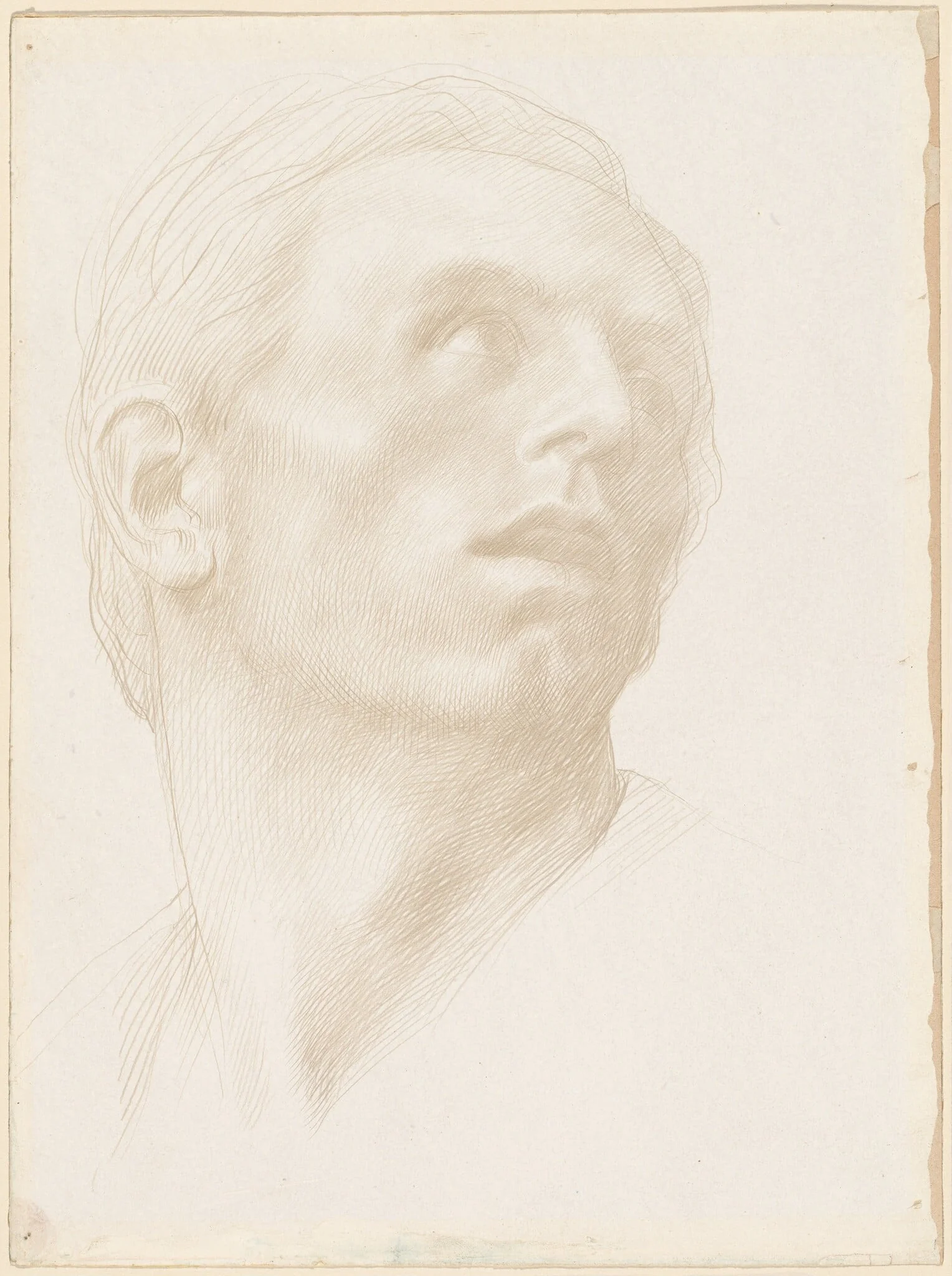 Head of a Man Looking Up to the Right, detail
