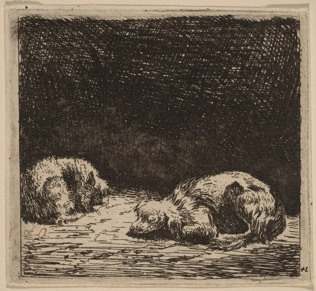 Dog and Cat, by Karel Dujardin, ink, 1650