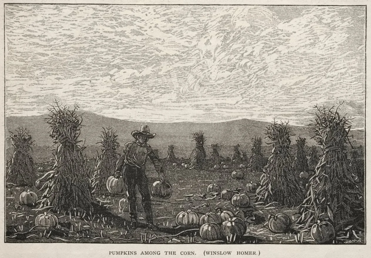 Pumpkins Among the Corn, detail