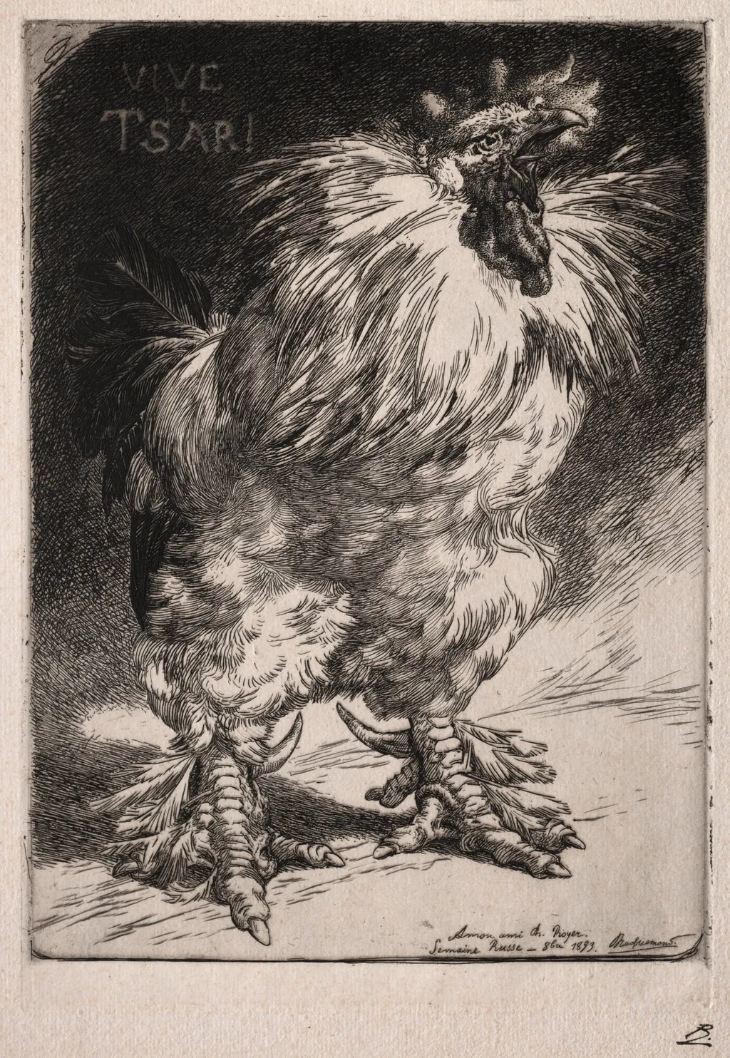 The French Cock, by Félix Bracquemond, 1893