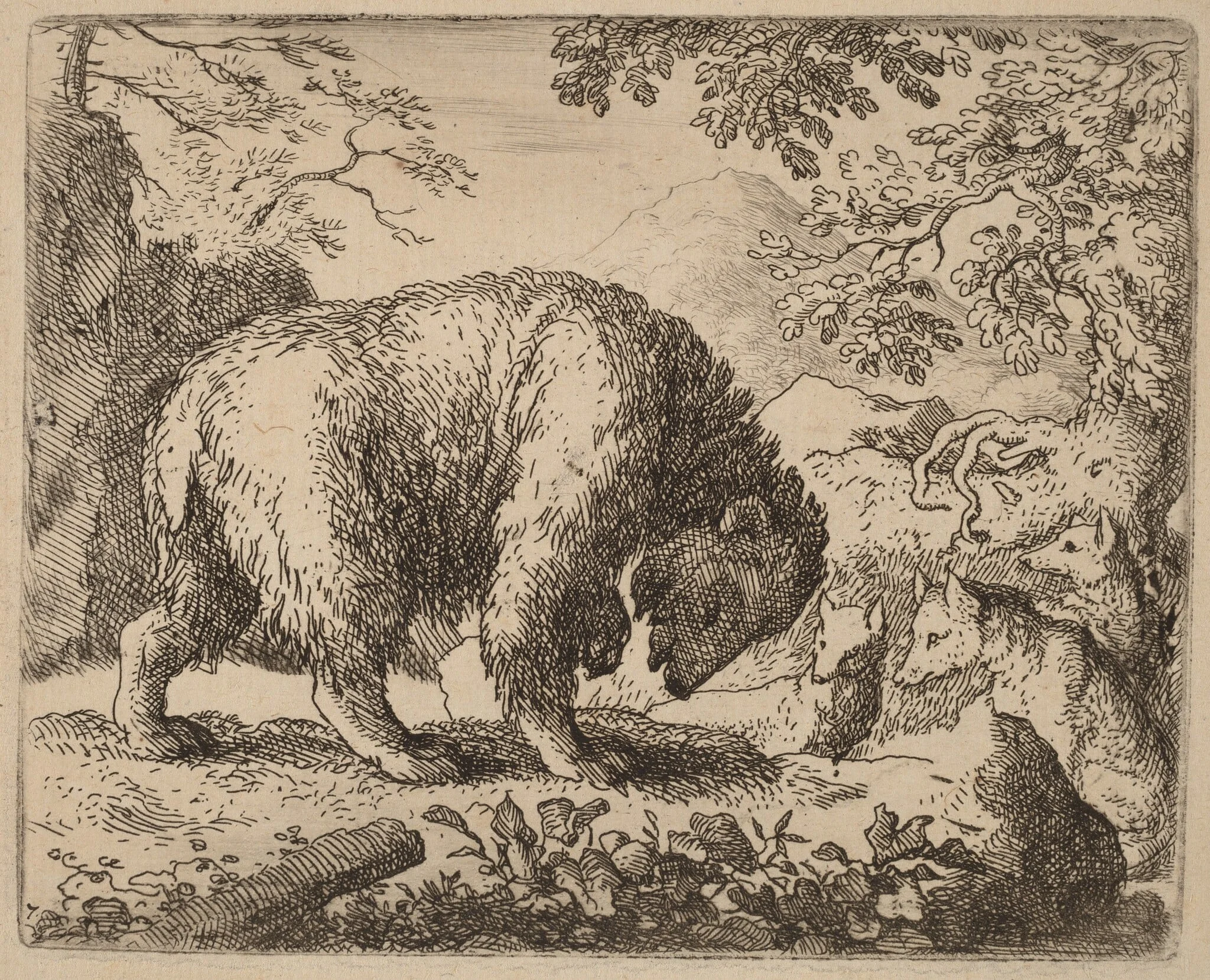 The Bear Distracted with Talk of Honey, detail