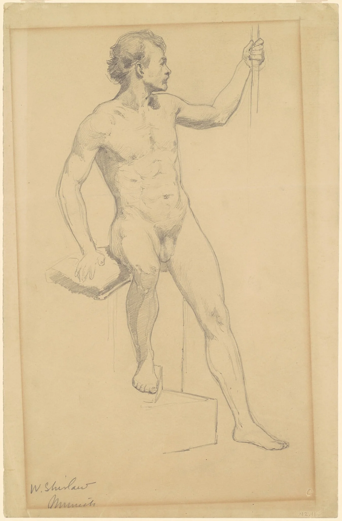 Male Nude, detail