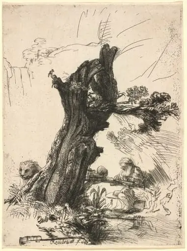 Saint Jerome beside a Pollard Willow, by Rembrandt, ink, 1648
